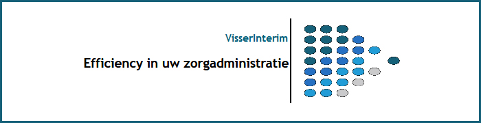 VISSER INTERIM